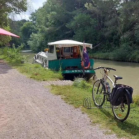 Au Bord Du Canal Du Midi קרקסון